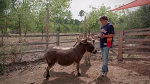 Vignette de la vidéo