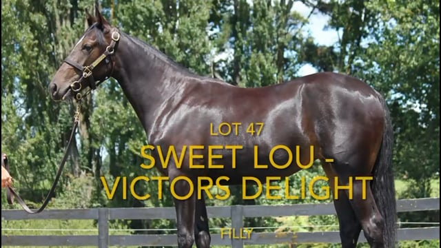 Lot 47