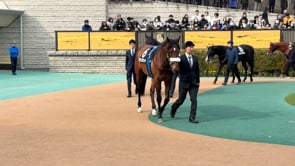 動画サムネイル