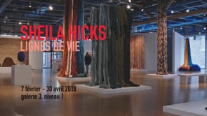 Vignette de la vidéo