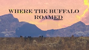 WHERE THE BUFFALO ROAMED