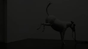 Vignette de la vidéo