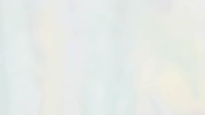 Vignette de la vidéo