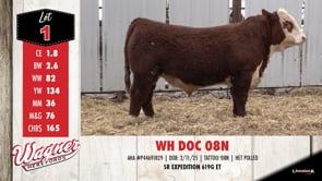 Lot #1 - WH DOC 08N