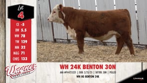 Lot #4 - WH 24K BENTON 30N