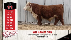 Lot #11 - WH HAMM 31N