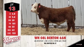 Lot #13 - WH 08L BENTON 66N