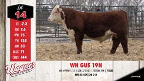 Lot #14 - WH GUS 19N