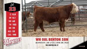 Lot #23 - WH 08L BENTON 58N
