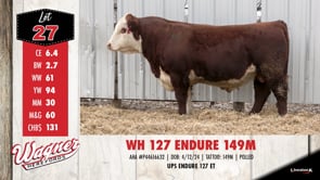 Lot #27 - WH 127 ENDURE 149M
