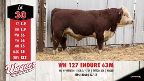 Lot #30 - WH 127 ENDURE 63M