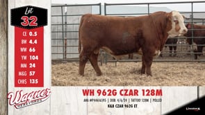 Lot #32 - WH 962G CZAR 128M