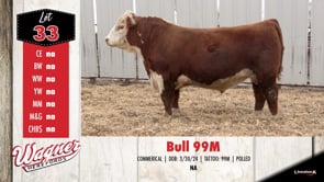 Lot #33 - BULL 99M