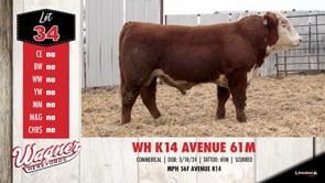 Lot #34 - WH K14 AVENUE 61M