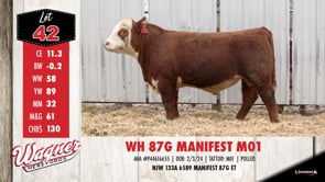Lot #42 - WH 87G MANIFEST M01