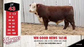 Lot #43 - WH GOOD NEWS 161M