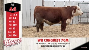 Lot #44 - WH CONQUEST 70M