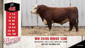 Lot #45 - WH 254G RIDGE 13M