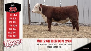 Lot #20 - WH 24K BENTON 29N