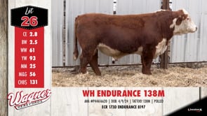 Lot #26 - WH ENDURANCE 138M