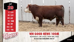 Lot #29 - WH GOOD NEWS 100M