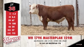 Lot #35 - WH 179K MASTERPLAN 159M