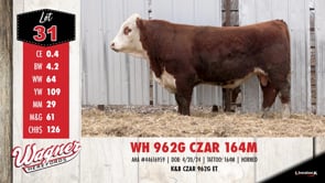 Lot #31 - WH 962G CZAR 164M