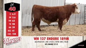 Lot #40 - WH 127 ENDURE 189M