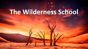 The Wilderness School