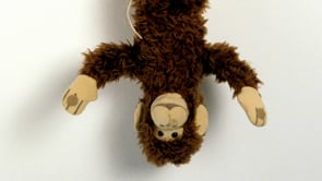 Vignette de la vidéo