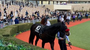 動画サムネイル