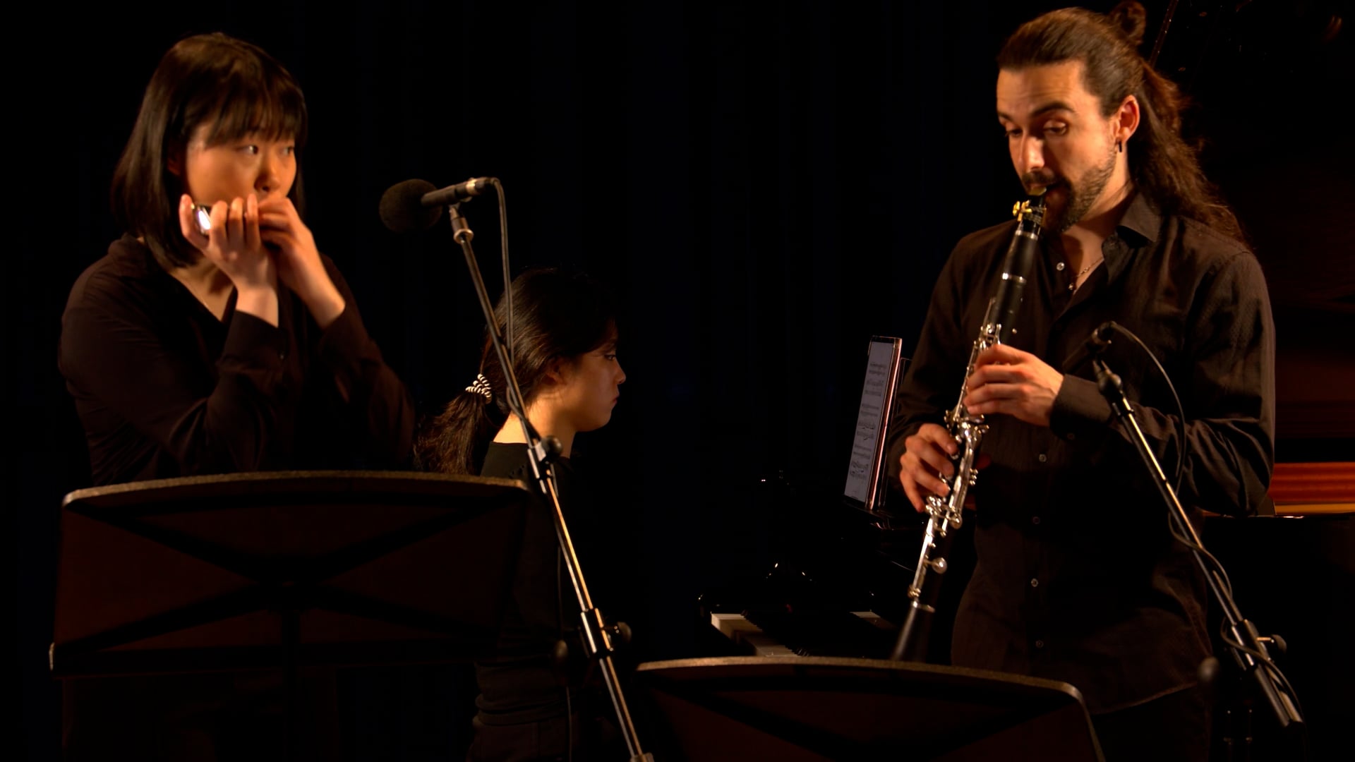 Amy Beach: Piano Trio Op.150 II. Lento espressivo-Presto (Aava Trio)