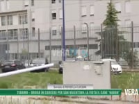 Teramo - Droga in carcere per San Valentino: la fiuta il cane "Naxon"