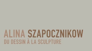 Vignette de la vidéo