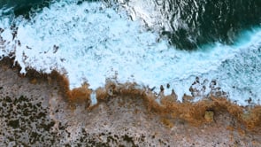 SOUTHSIDE HOME AND BLUFFSIDE COTTAGE