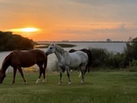 Estancia Isla de Lobos – Private island in Uruguay, South America – video thumbnail
