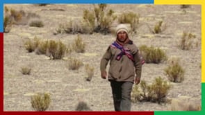 Vignette de la vidéo