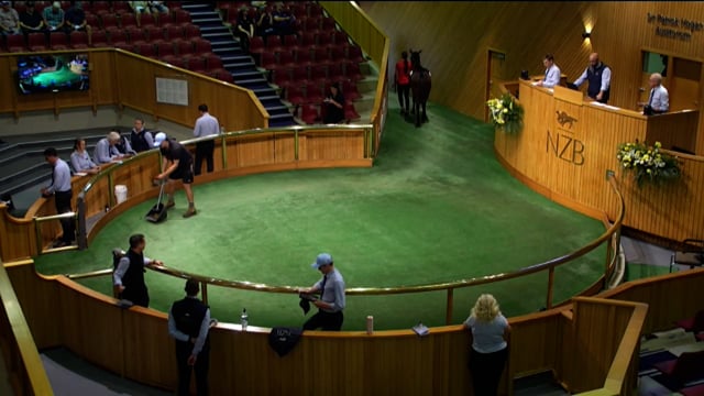 2026 National Standardbred Yearling Sale, Lot 4 - 14