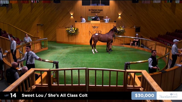 2026 National Standardbred Yearling Sale, Lot 14 - 20