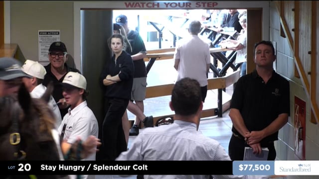 2026 National Standardbred Yearling Sale, Lot 20 - 29