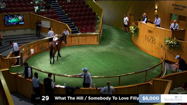 2026 National Standardbred Yearling Sale, Lot 29 - 38