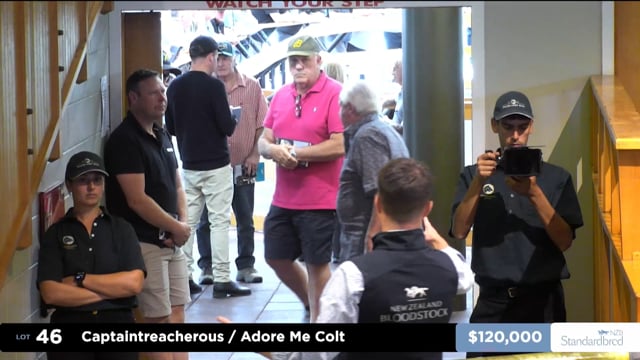 2026 National Yearling Sale | Lot 46, $210,000