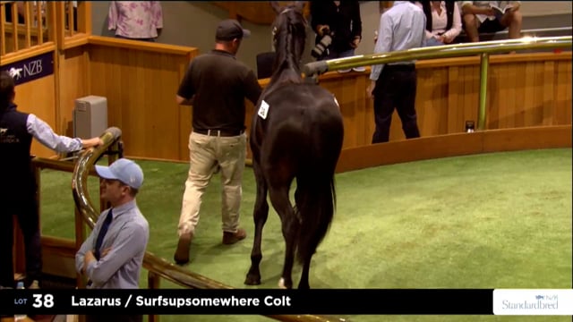 2026 National Standardbred Yearling Sale, Lot 38 - 46