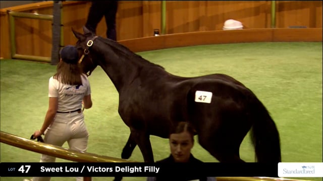 2026 National Standardbred Yearling Sale, Lot 47 - 55