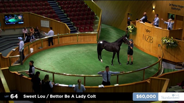 2026 National Standardbred Yearling Sale, Lot 64 - 74