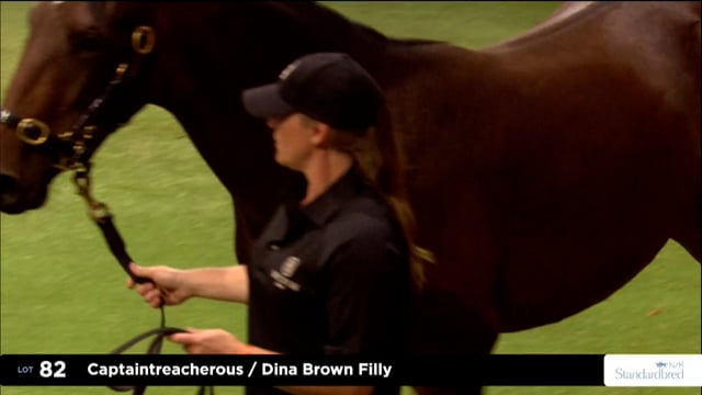 2026 National Standardbred Yearling Sale, Lot 82 - 90