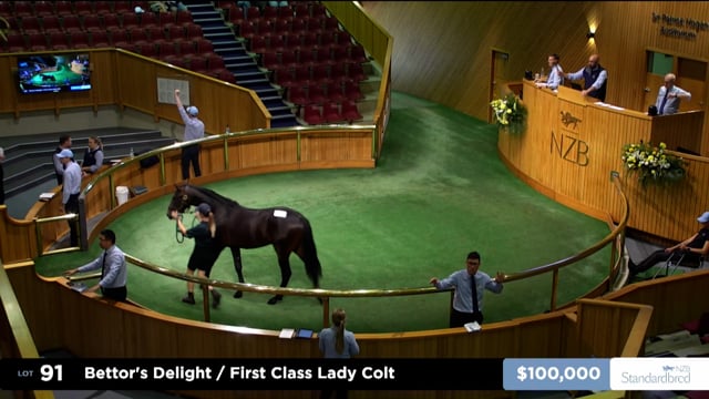 2026 National Yearling Sale | Lot 91, $200,000