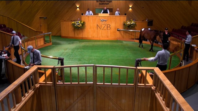 2026 National Standardbred Yearling Sale, Lot 98 - 107