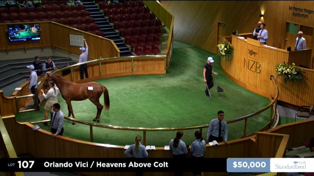 2026 National Standardbred Yearling Sale, Lot 107 - 115