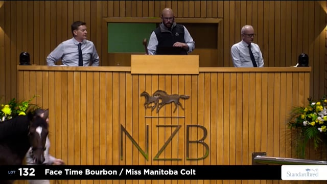 2026 National Standardbred Yearling Sale, Lot 132 - Review Show Part 1